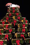 Click to see YIMG_0308.JPG