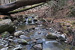 Click to see YIMG_0363.JPG