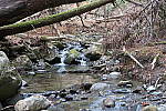 Click to see YIMG_0370-ISO-200.JPG