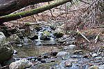 Click to see YIMG_0371-ISO-400.JPG