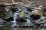Click to see YIMG_0382-NR-Low.JPG