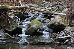 Click to see YIMG_0384-NR-High.JPG