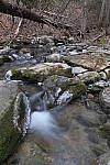 Click to see YIMG_0389.JPG