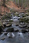 Click to see YIMG_0393.JPG
