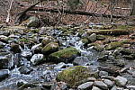 Click to see YIMG_0420.JPG