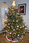 Click to see YIMG_0447-MOD.JPG