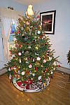 Click to see YIMG_0447.JPG