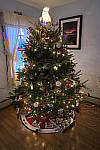 Click to see YIMG_0448.JPG