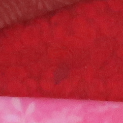 100% crop from Canon G5X test image taken at ISO 1600