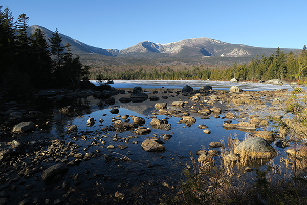 Canon G5X Field Test -- Gallery Image