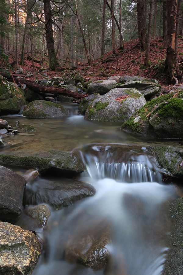 Canon G5X Conclusion -- Gallery Image