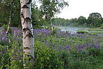 Click to see YIMG_0632.JPG