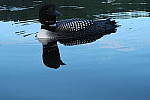 Click to see YIMG_0647.JPG