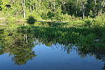 Click to see YIMG_0752.JPG