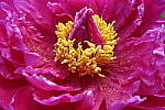 Click to see YIMG_0756.JPG