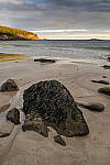Click to see YIMG_0829-MOD.JPG
