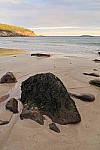 Click to see YIMG_0829.JPG