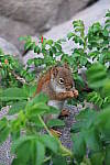 Click to see YIMG_0843.JPG