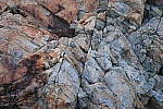 Click to see YIMG_0873.JPG