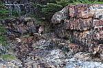 Click to see YIMG_0874.JPG