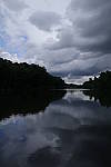Click to see YL-0520.JPG
