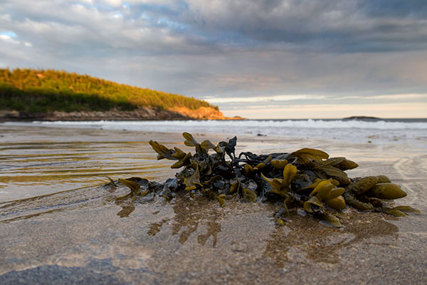 Canon G7X II Review: Field Test -- Gallery Image