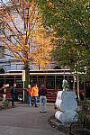 Click to see YIMG_0224.JPG