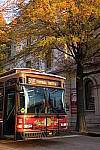 Click to see YIMG_0230.JPG