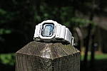 Click to see YYIMG_0011-f56.JPG