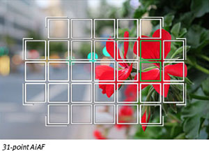 Canon G7X Review -- AF areas