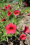 Click to see YIMG_0541.JPG