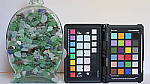 Click to see YIMG_0600-FRAME-COMPARISON-STILL.JPG