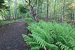 Click to see YIMG_0701.JPG