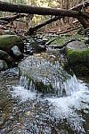 Click to see YIMG_0703.JPG