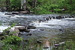Click to see YIMG_0707.JPG