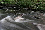 Click to see YIMG_0711.JPG