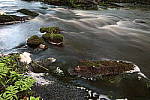 Click to see YIMG_0724.JPG