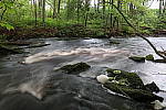 Click to see YIMG_0726.JPG