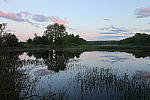 Click to see YIMG_0738.JPG