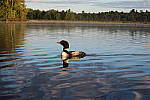 Click to see YIMG_0749.JPG