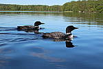 Click to see YIMG_0816.JPG