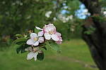Click to see YIMG_0823.JPG