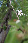 Click to see YIMG_0826.JPG