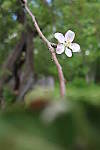 Click to see YIMG_0828.JPG