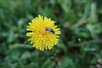 Click to see YIMG_0836.JPG