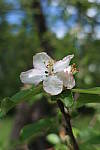 Click to see YIMG_0841.JPG