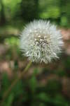 Click to see YIMG_0862.JPG