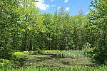 Click to see YIMG_0865-NO-HDR.JPG
