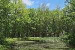 Click to see YIMG_0866-HDR.JPG