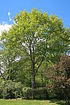 Click to see YIMG_0868-NO-HDR.JPG
